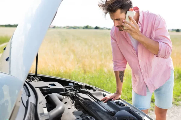 Free_of_Rights_Images_1_wirwju